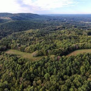 Photo #25 of Pedigo Ridge, Claudville, VA 41.6 acres