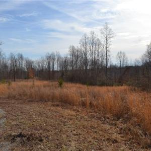 Photo #2 of 80 Acres Bobby Nelson, Sandy Ridge, NC 80.0 acres