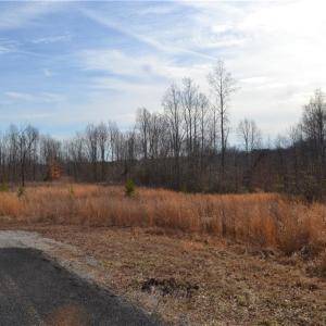 Photo #6 of 80 Acres Bobby Nelson, Sandy Ridge, NC 80.0 acres