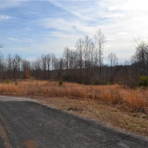 Photo #1 of 80 Acres Bobby Nelson, Sandy Ridge, NC 80.0 acres