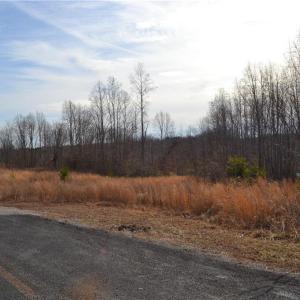 Photo #5 of 80 Acres Bobby Nelson, Sandy Ridge, NC 80.0 acres