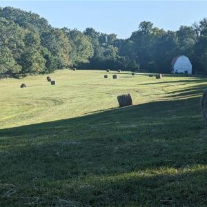 Conrad Road Land