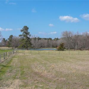 Photo #22 of 7611 & 7609 Old 421, Liberty, NC 48.0 acres