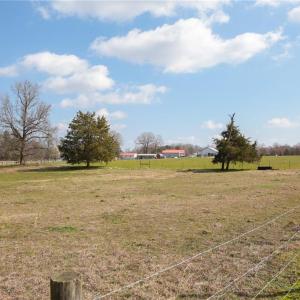 Photo #28 of 7611 & 7609 Old 421, Liberty, NC 48.0 acres