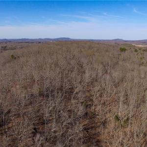 Photo #5 of Doul Mountain, Asheboro, NC 78.0 acres