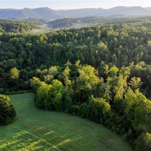 Photo #10 of Skyview, Ararat, VA 32.7 acres