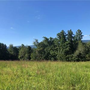 Photo #29 of Skyview, Ararat, VA 32.7 acres