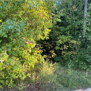 Photo #1 of L23C Ridge, Lexington, NC 24.6 acres