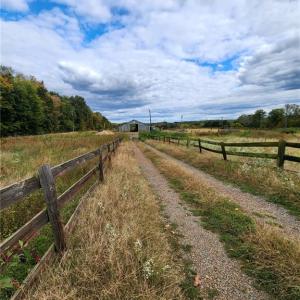 Photo #2 of 3604 US Highway 158, Mocksville, NC 35.9 acres