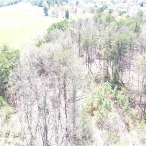 Photo #17 of 286 Badin Shore, New London, NC 8.1 acres