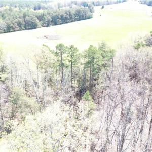 Photo #16 of 286 Badin Shore, New London, NC 8.1 acres