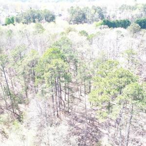 Photo #18 of 286 Badin Shore, New London, NC 8.1 acres