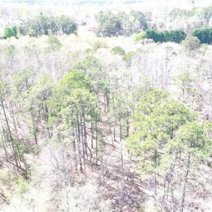 Photo #19 of 286 Badin Shore, New London, NC 8.1 acres