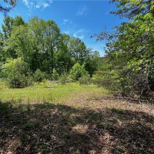 Photo #7 of Virgilina, Cana, VA 1.0 acres