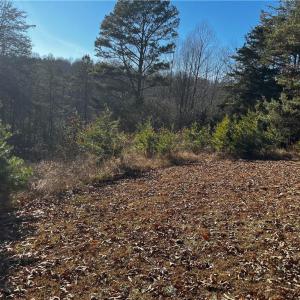 Photo #5 of Virgilina, Cana, VA 1.0 acres