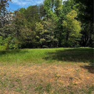 Photo #2 of Virgilina, Cana, VA 0.6 acres