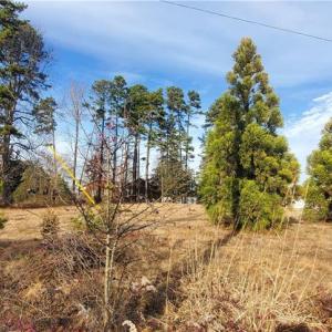 Photo #5 of 3855 NC Highway 73, Concord, NC 1.3 acres