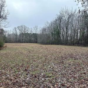 Photo #7 of 6101 Burlington, Gibsonville, NC 45.4 acres