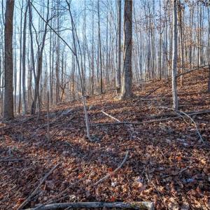 Photo #6 of TBD Trot Valley, Stuart, VA 72.8 acres