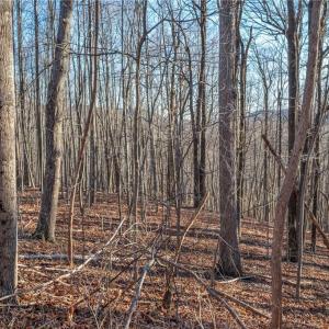 Photo #14 of TBD Trot Valley, Stuart, VA 72.8 acres