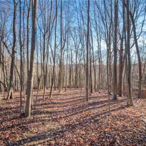 Photo #11 of TBD Trot Valley, Stuart, VA 72.8 acres