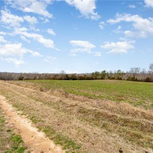 Photo #28 of 317 Archie Yokeley, Winston Salem, NC 70.8 acres