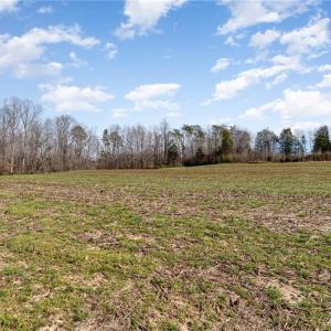 Photo #15 of 317 Archie Yokeley, Winston Salem, NC 70.8 acres