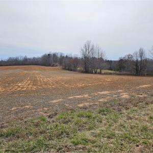 Photo #2 of Sells Farm, Kernersville, NC 25.0 acres