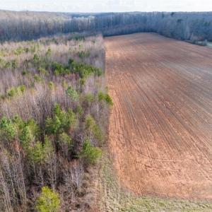 Photo #13 of Sells Farm, Kernersville, NC 25.0 acres