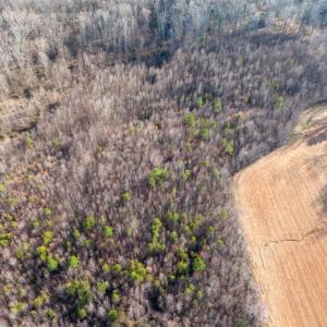 Photo #11 of Sells Farm, Kernersville, NC 25.0 acres