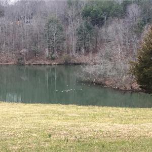 Photo #6 of TBD EPWORTH, Cana, VA 16.1 acres