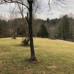 Photo #20 of TBD EPWORTH, Cana, VA 16.1 acres