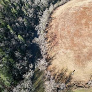 Photo #6 of 1248 Sands, Lawsonville, NC 81.8 acres