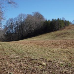 Photo #13 of 1248 Sands, Lawsonville, NC 81.8 acres