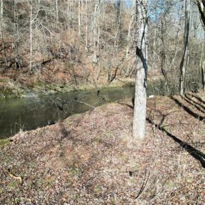 Photo #26 of 1248 Sands, Lawsonville, NC 81.8 acres