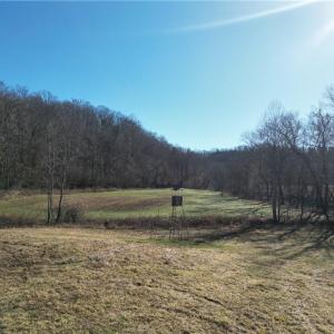 Photo #22 of 1248 Sands, Lawsonville, NC 81.8 acres