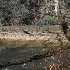 Photo #36 of 1248 Sands, Lawsonville, NC 81.8 acres