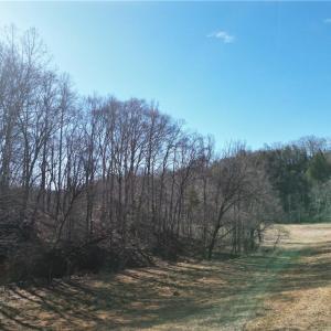 Photo #28 of 1248 Sands, Lawsonville, NC 81.8 acres