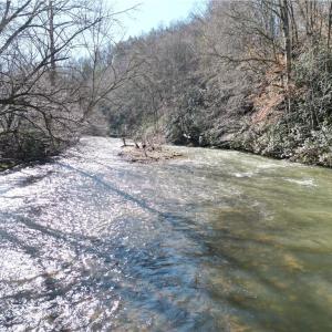 Photo #24 of 1248 Sands, Lawsonville, NC 81.8 acres