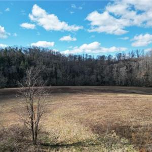 Photo #34 of 1248 Sands, Lawsonville, NC 81.8 acres