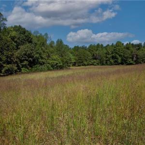 Photo #3 of 7315 Plunkett, Belews Creek, NC 59.0 acres