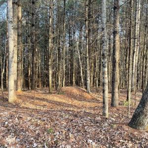 Photo #6 of TBD Lot 40 Chestnut Falls, Galax, VA 6.3 acres