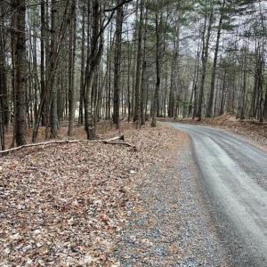 Photo #13 of TBD Lot 40 Chestnut Falls, Galax, VA 6.3 acres