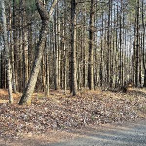 Photo #3 of TBD Lot 40 Chestnut Falls, Galax, VA 6.3 acres