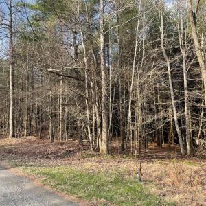 Photo #14 of TBD Lot 40 Chestnut Falls, Galax, VA 6.3 acres