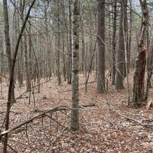 Photo #4 of TBD Lot 40 Chestnut Falls, Galax, VA 6.3 acres