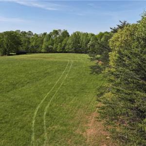 Photo #6 of Joyce Acres, Westfield, NC 50.5 acres