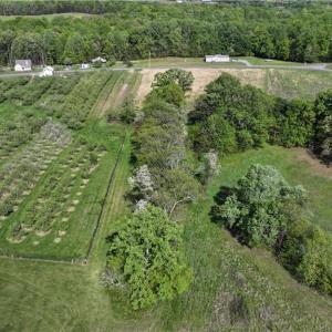 Photo #1 of Joyce Acres, Westfield, NC 50.5 acres