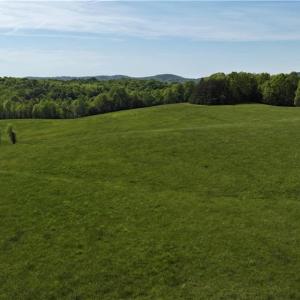 Photo #4 of Joyce Acres, Westfield, NC 50.5 acres