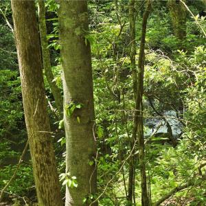 Small waterfall near road